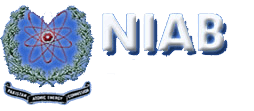 NIAB