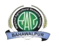 RARI Bahawalpur